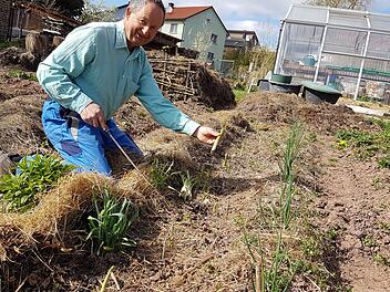 Über Spargel - grün, weiß, lila - aus dem eigenen Garten freut sich Norbert Schmäling, schön eingebettet in Mulch und Kompost.