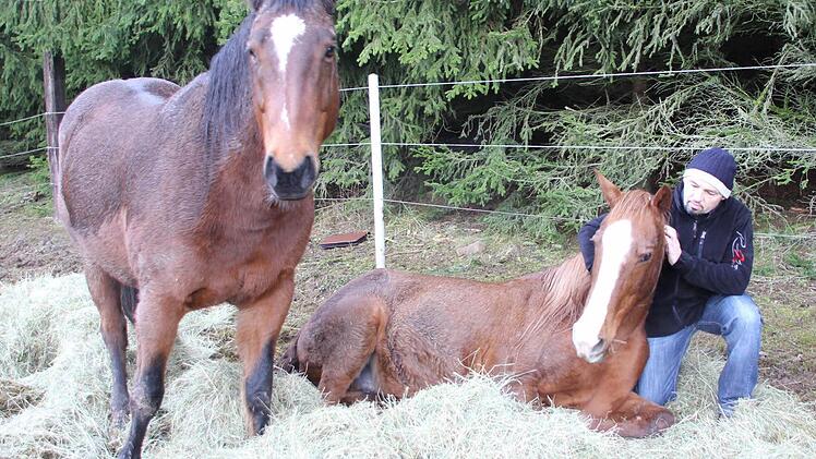 Werner Muffel mit den Pferden Sunny (links) und Jaiyl in der Koppel bei Neukenroth  Foto: Friedwald Schedel