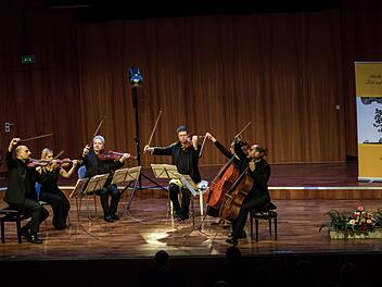 Tolles Coburg-Gastspiel: das Sestetto Stradivari begeisterte im Coburger Kongresshaus Rosengarten.Foto: Jochen Berger