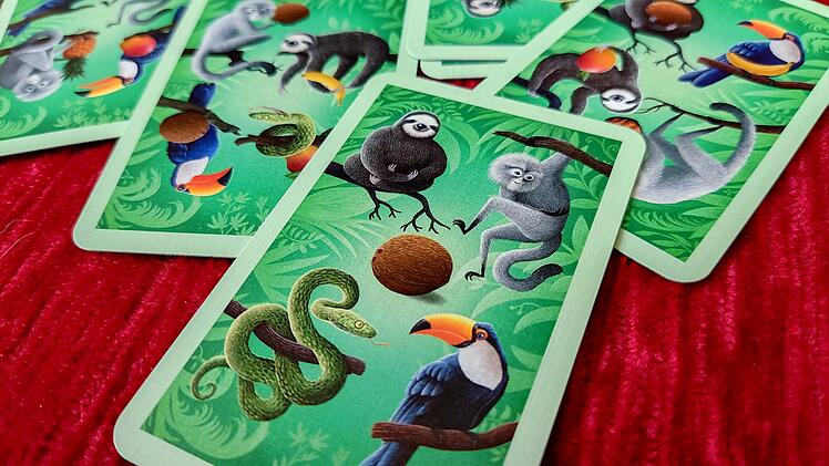 Spiele-Test Macoco - Rezension des schnellen Kartenspiels
