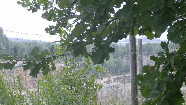 Blick in den Steinbruch Foto: Petra Malbrich