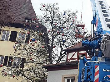 Weihnachtlich dekoriert wird der Baum im Garten der B&auml;ckerei R&ouml;mmelt.  Fotos: Bernhard Panzer
