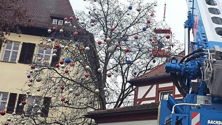 Weihnachtlich dekoriert wird der Baum im Garten der B&auml;ckerei R&ouml;mmelt.  Fotos: Bernhard Panzer