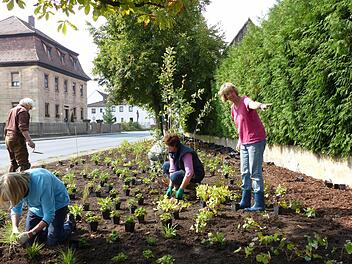 Mitglieder der Unabhängigen Röttenbacher bepflanzten den Grünstreifen gegenüber des katholischen Pfarrhauses neu. Foto: privat