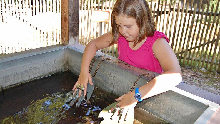 Johanna (10) aus Bad Kissingen probiert an einer Lehrpfad-Station aus, wie sich ein Fischotter im Wasser vorwärts bewegt  Foto: Dobschütz