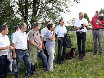 Mit einer einstündigen Wanderung auf dem Wiesen-Panorama-Weg bei Nordhalben begann die Festveranstaltung "25 Jahre Landschaftspflegeverband Frankenwald". Dabei gab Geschäftsführer Dietrich Förster auch Auskünfte über die Nordhalbener Hochfläche.  Foto: Michael Wunder