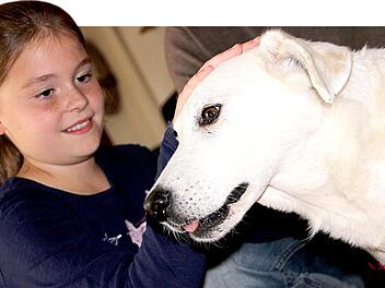 Streicheleinheiten für das neue Familienmitglied: Die achtjährige Emma hat den Tierheimhund Viktor gleich ins Herz geschlossen. Auch wenn der nichts mehr hört und nur noch wenig sieht - die Liebe des Mädchens spürt er bestimmt.  Fotos: Diana Fuchs