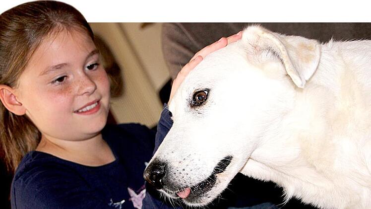 Streicheleinheiten für das neue Familienmitglied: Die achtjährige Emma hat den Tierheimhund Viktor gleich ins Herz geschlossen. Auch wenn der nichts mehr hört und nur noch wenig sieht - die Liebe des Mädchens spürt er bestimmt.  Fotos: Diana Fuchs