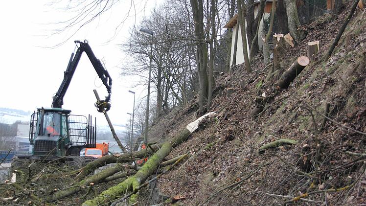 Die Stämme wurden in kurze Stücke geschnitten und verladen. Foto: Friedwald Schedel
