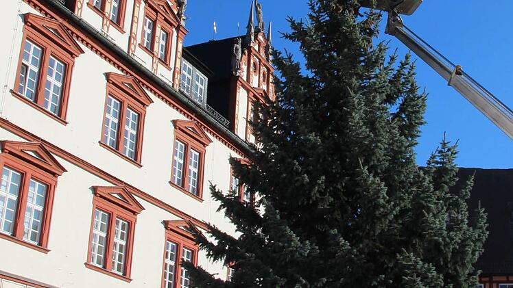 Impressionen vom Aufbau des Baumes auf dem Coburger Weihnachtsmarkt.Foto: Jochen Berger
