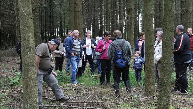 Über die Situation im Wald informieren sich nicht nur die Gemeinderäte, sondern beim Waldspaziergang auch die Bürger. So erfahren sie, wie es um die Einnahmen und Ausgaben steht.  Foto: G. Bauer