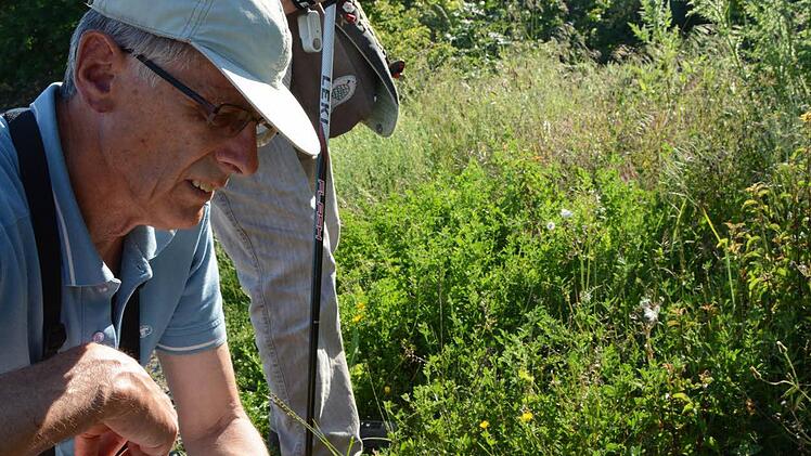 Die Botaniker bei einer Exkursion. Konzentriertes Arbeiten in schöner Landschaft: Dieter Fünfstück und Irmgard DietzFoto: Assmann