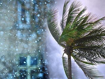 Ausgerechnet ein ehemaligen Tropensturm   verursacht voraussichtlich einen großen  Wintereinbruch in  Deutschland. Für Franken hat das ungemütliche Folgen - vor allem zur Eröffnung vieler Weihnachtsmärkte.  Symbolfotos: Suparerg Suksai, Immortal shots,pexels.com/Collage: inFranken.de