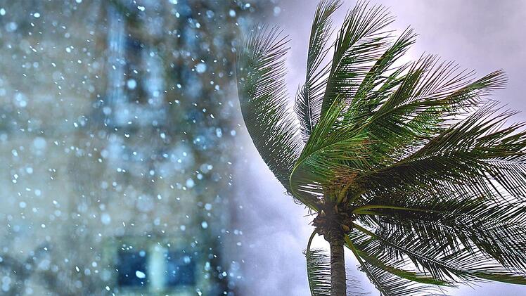 Ausgerechnet ein ehemaligen Tropensturm   verursacht voraussichtlich einen großen  Wintereinbruch in  Deutschland. Für Franken hat das ungemütliche Folgen - vor allem zur Eröffnung vieler Weihnachtsmärkte.  Symbolfotos: Suparerg Suksai, Immortal shots,pexels.com/Collage: inFranken.de