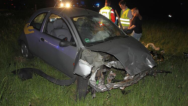 Der Ford KA landete in einer Wiese.  Foto: Friedwald Schedel