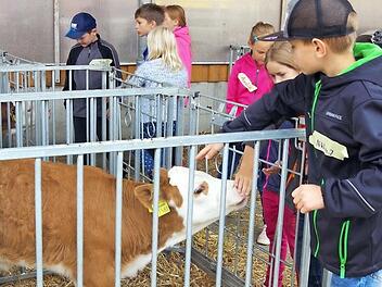 Die zweite Jahrgangsstufe der Grundschule Wilhelmsthal nahm am Projekt "Landfrauen machen Schule" teil. Praktischen Einblick rund ums Vieh, den Beruf des Landwirts und der Technik erhielten sie auf dem Hof der Familie Appel in Effelter.  Foto: Heike Schülein
