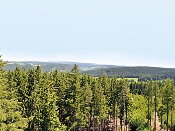 Nicht bei allen kommt der Plan eines Nationalparks Frankenwald gut an. Foto: Archiv