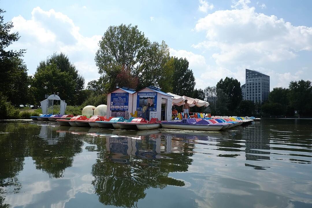 Nürnberg strampelt sich ab: Treetbootfahren am Wöhrder See