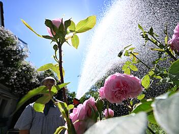 Wetter in Baden-W&uuml;rttemberg - Trockenheit