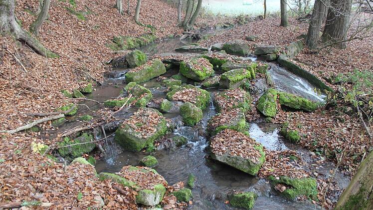 Oberhalb der Brücke befindet sich noch ein Wehr aus Natursteinen, das der Bewässerung der Wiesenflächen diente.