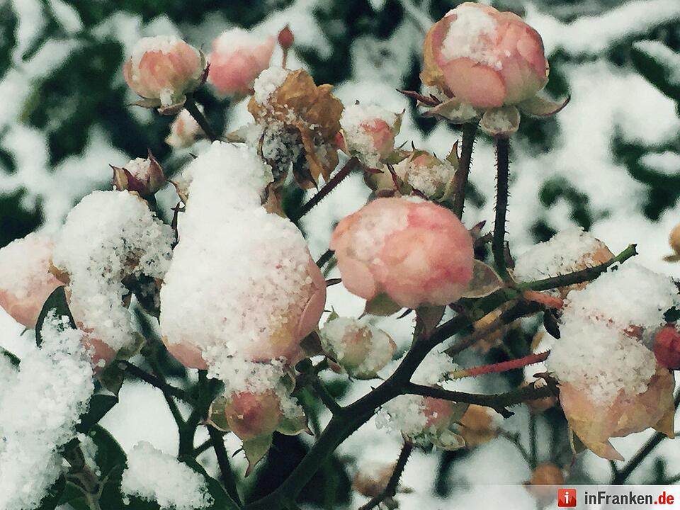 Schnee in Franken