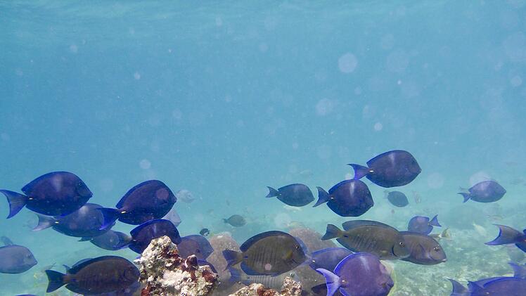 Ihr Beruf führt sie zu Traumzielen. Foto: Eunike Schu