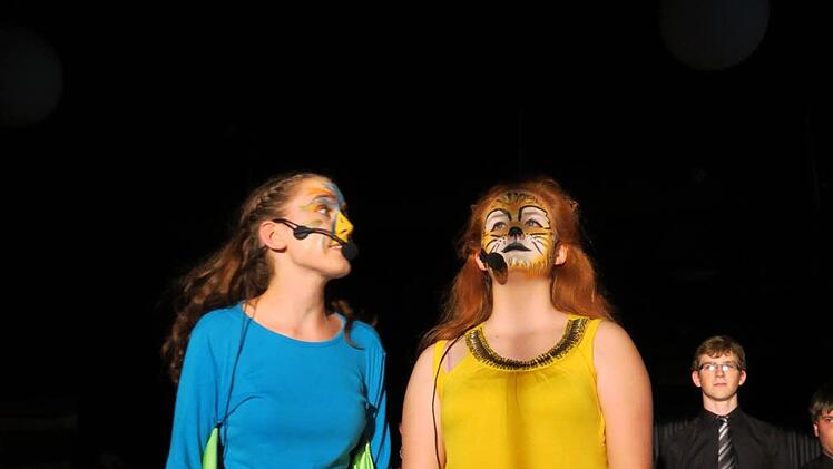 Sommerkonzert des Frobenius-Gymnasiums  Foto: Doris Bauer