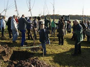 Über 30 Weisbrunner Familien trafen sich am Samstag am Aicher Weg, um mit ihren Bäumen eine neue Streuobstwiese zu bepflanzen.  Fotos: sw