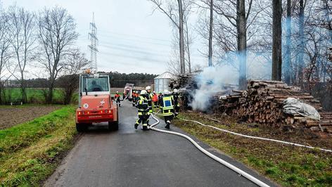 Stämme am Waldrand in Flammen
