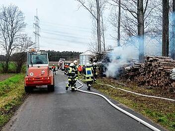 St&auml;mme am Waldrand in Flammen
