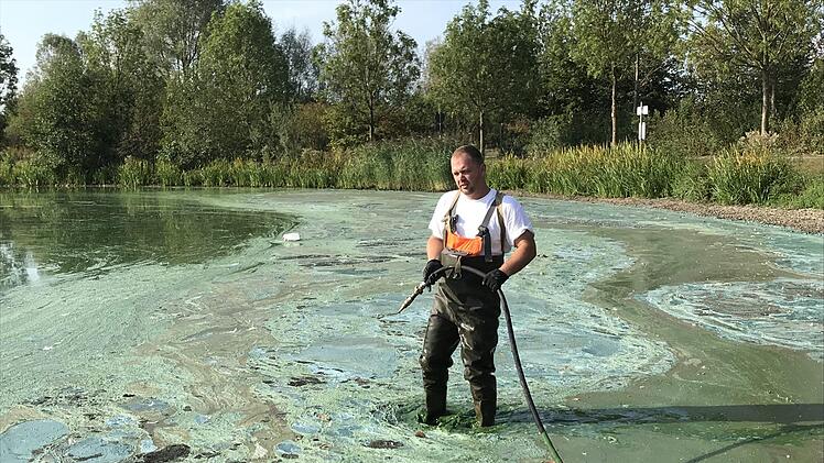 Erst wird gespritzt, dann gesaugt. Foto: Sonny Adam