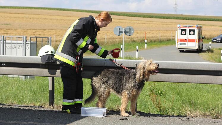 Foto: News5/Fricke