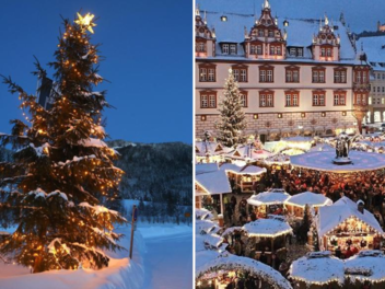 Coburg: Stadt sucht bereits "passende Weihnachtsb&auml;ume" - und hat detaillierte Anforderungen