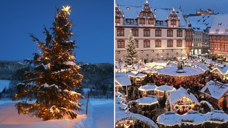 Coburg: Stadt sucht bereits "passende Weihnachtsb&auml;ume" - und hat detaillierte Anforderungen