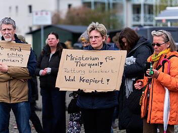 Demo f&uuml;r Rettung des Buckelwals