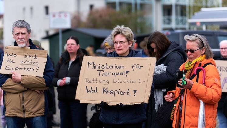 Demo f&uuml;r Rettung des Buckelwals