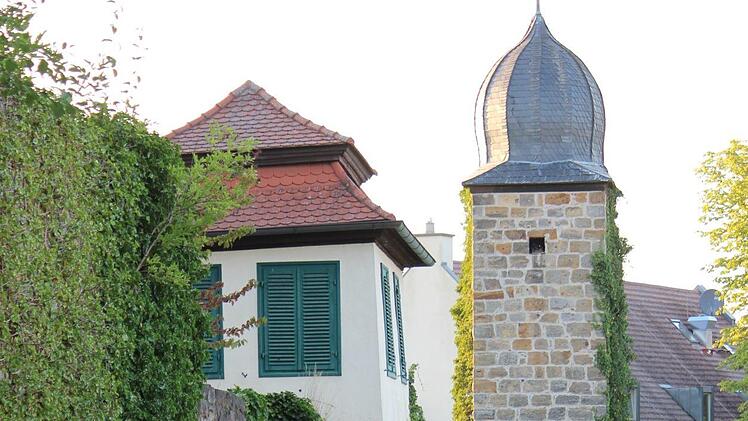 Die Stadtmauer von Ebern ist an etlichen Stellen sanierungsbedürftig. Gerade der bewuchs richtet Schaden an. eki