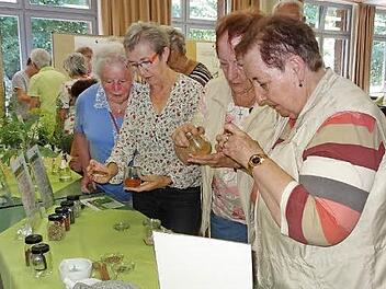 Anhand von themenspezifischen Genuss- und Bewegungsinseln wurde aufgezeigt, wie eine bewusste Ernährung mit nährstoffreichen Lebensmitteln und täglichen Bewegungseinheiten in fortgeschrittenem Alter im Alltag möglich ist.  Foto: Marion Eckert
