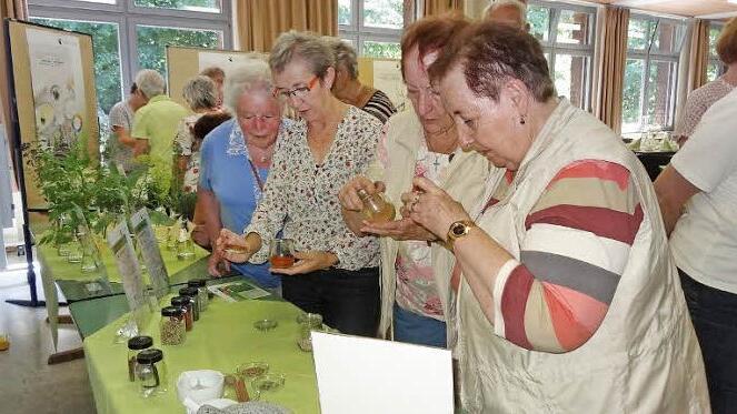 Anhand von themenspezifischen Genuss- und Bewegungsinseln wurde aufgezeigt, wie eine bewusste Ernährung mit nährstoffreichen Lebensmitteln und täglichen Bewegungseinheiten in fortgeschrittenem Alter im Alltag möglich ist.  Foto: Marion Eckert
