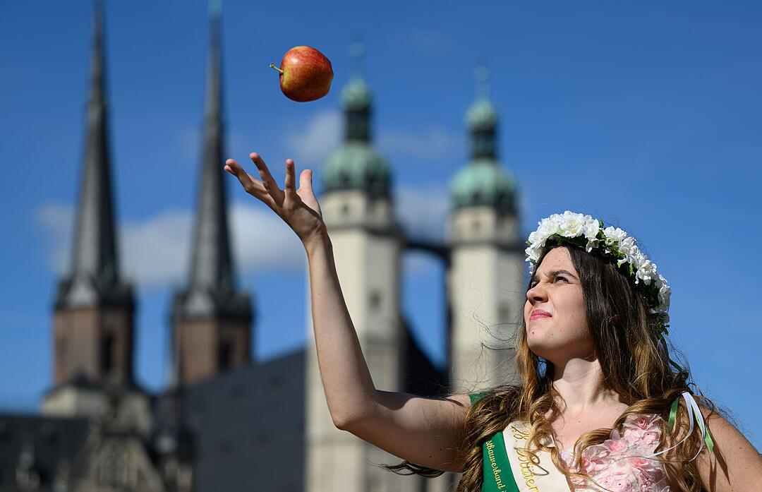 Sachsen-Anhalt startet in die Apfelsaison