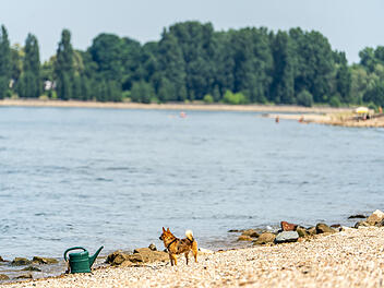 Drei Tote aus dem Rhein in Hessen geborgen - Polizei &auml;u&szlig;ert sich