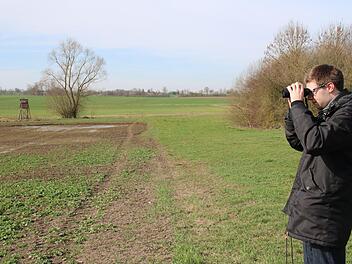 Matthias Franz hält nach Wiesenbrütern Ausschau. Im östlichen Stadtgebiet von Münnerstadt ziehen Kiebitze und Bekassinen ihren Nachwuchs auf. Thomas Malz