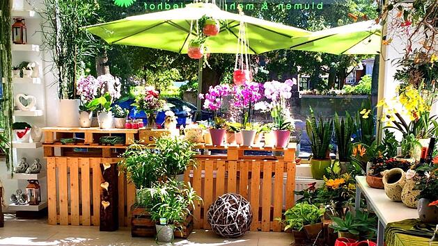 Bad Rodach: Blumenh&auml;ndlerin muss Laden nach neun Jahren schlie&szlig;en - "wirtschaftliche Lage schwer"