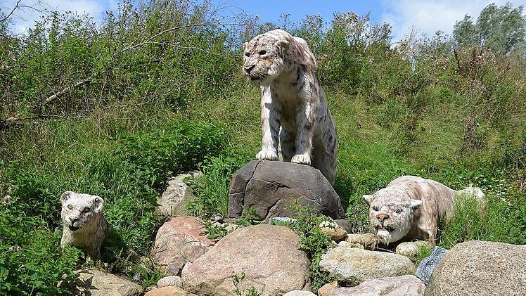Hätte der Steinzeit-Jäger sich immer an die traumatische Flucht vor dem Säbelzahntiger erinnert, hätte er das Jagen eingestellt und wäre verhungert.