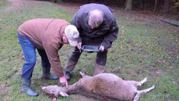 Erwin Belz (links) beschreibt mit Gutachter Chritian Müller-Wirth die Wunden am Tier. Foto: Julia Raab