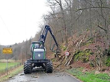 Im Steinachtal werden derzeit Bäume gefällt, denen die Trockenheit der vergangenen zwei Jahre enorm zugesetzt hat. Foto: privat