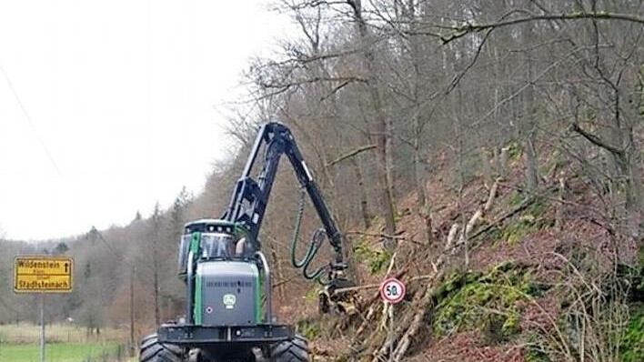 Im Steinachtal werden derzeit Bäume gefällt, denen die Trockenheit der vergangenen zwei Jahre enorm zugesetzt hat. Foto: privat