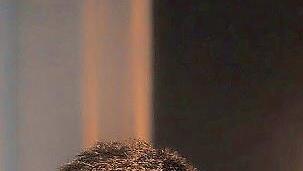 Alon Kariv
