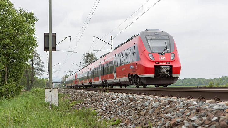 Foto: News5 / Weier
