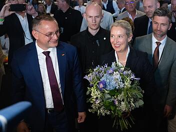 Bundesparteitag der AfD